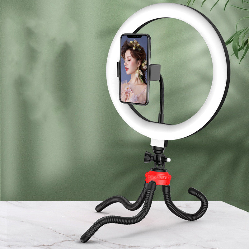 10 Inch LED Net Red Ring Light